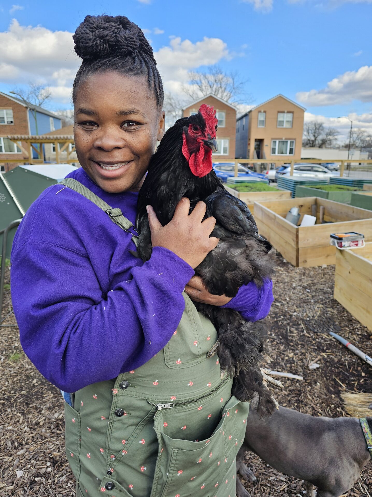 Urban Agriculture and Veterinary Practice: Bridging Two Essential Fields