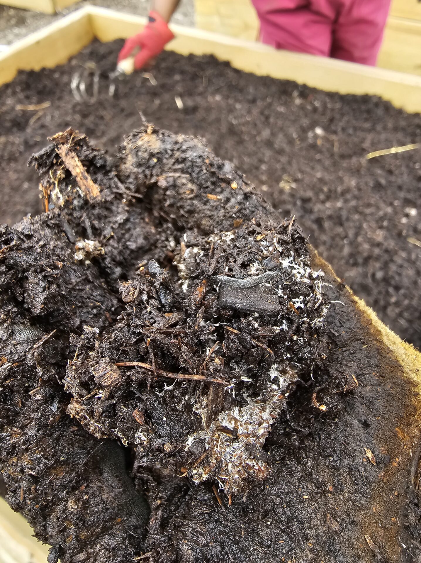 Six Compost Recipes That Actually Work